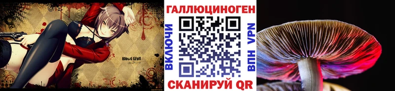 Псилоцибиновые грибы Cubensis Кемерово